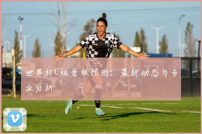世界杯C组晋级预测：最新动态与专业分析