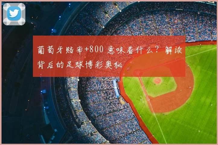 葡萄牙赔率+800 意味着什么？解读背后的足球博彩奥秘