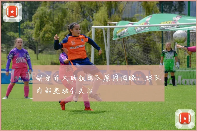 胡尔肖夫助教离队原因揭晓，球队内部变动引关注